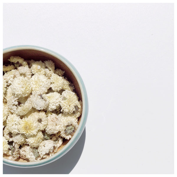 Snow Chrysanthemum, Caffeine Free Tea