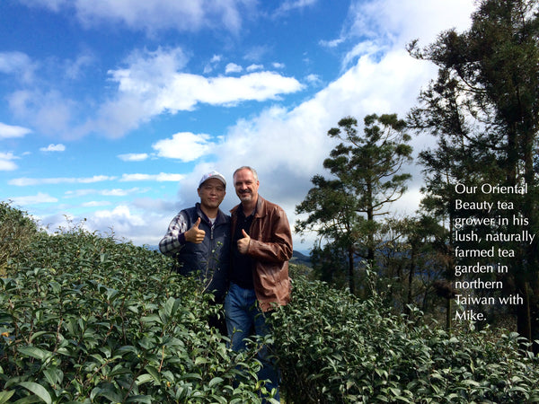 Bai Hao Oolong grower in his tea garden with Mike in Taiwan